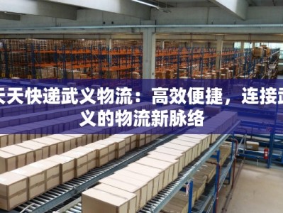 天天快递武义物流：高效便捷，连接武义的物流新脉络