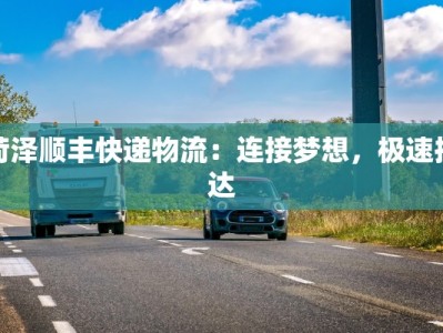 菏泽顺丰快递物流：连接梦想，极速抵达