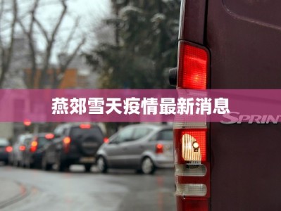 燕郊雪天疫情最新消息