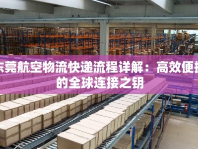 东莞航空物流快递流程详解：高效便捷的全球连接之钥