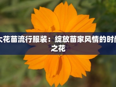 大花苗流行服装：绽放苗家风情的时尚之花