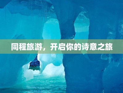 蝴蝶服装品牌商标：翩翩起舞的时尚印记