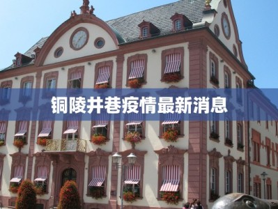 铜陵井巷疫情最新消息