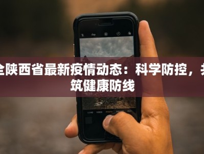全陕西省最新疫情动态：科学防控，共筑健康防线