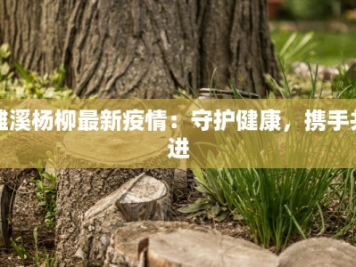 安固最新疫情通报