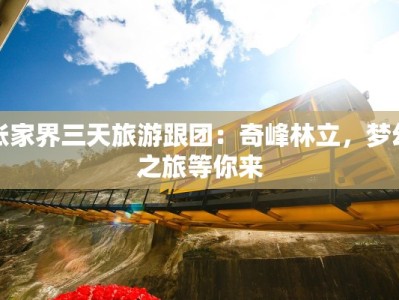 张家界三天旅游跟团：奇峰林立，梦幻之旅等你来