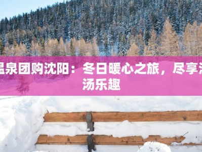 温泉团购沈阳：冬日暖心之旅，尽享泡汤乐趣