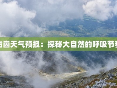 岱崮天气预报：探秘大自然的呼吸节奏