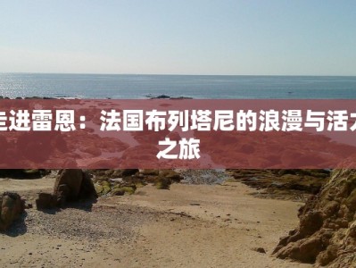 走进雷恩：法国布列塔尼的浪漫与活力之旅