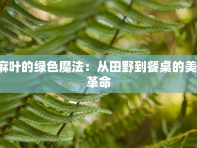 苧麻叶的绿色魔法：从田野到餐桌的美味革命
