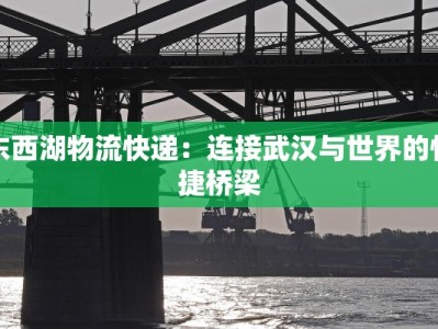 东西湖物流快递：连接武汉与世界的快捷桥梁