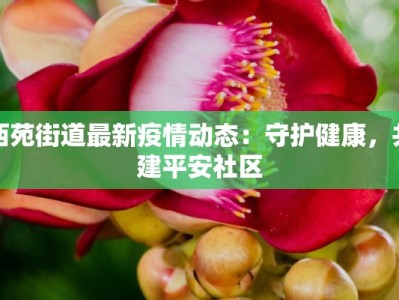 西苑街道最新疫情动态：守护健康，共建平安社区