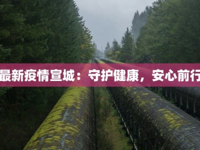 最新绥芬河疫情消息：守护边城健康，携手共克时艰