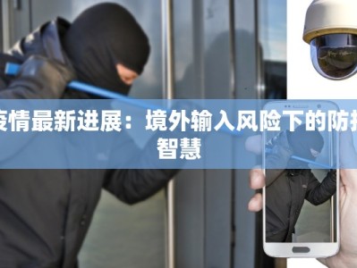 疫情最新进展：境外输入风险下的防护智慧