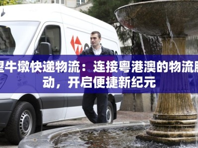 望牛墩快递物流：连接粤港澳的物流脉动，开启便捷新纪元