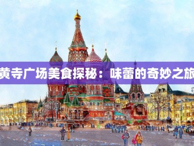 黄寺广场美食探秘：味蕾的奇妙之旅