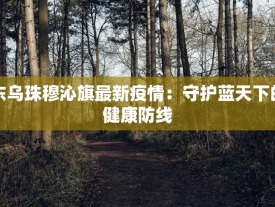 东乌珠穆沁旗最新疫情：守护蓝天下的健康防线