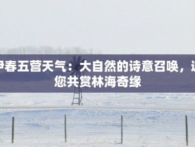 伊春五营天气：大自然的诗意召唤，邀您共赏林海奇缘