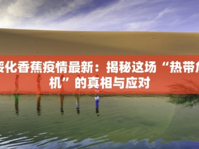 服装店打包带走文案：时尚打包，带走无限惊喜