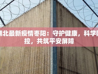 湖北最新疫情枣阳：守护健康，科学防控，共筑平安屏障