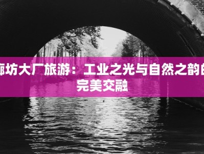 上饶万力美食广场：味蕾的盛宴，城市的味蕾天堂