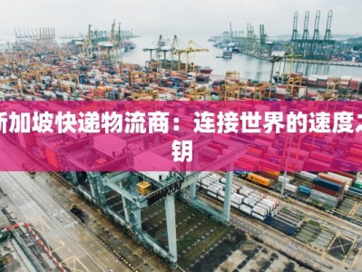 新加坡快递物流商：连接世界的速度之钥