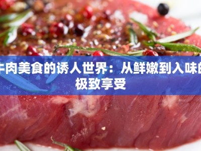 牛肉美食的诱人世界：从鲜嫩到入味的极致享受