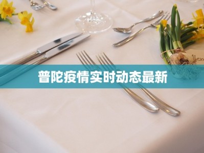 中老年加肥春秋服装：舒适与优雅的完美融合