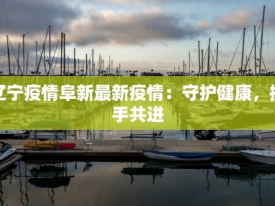 辽宁疫情阜新最新疫情：守护健康，携手共进