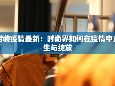 西安碑林物流快递地址详解：高效便捷的物流新选择