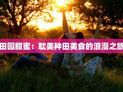 田园甜蜜：耽美种田美食的浪漫之旅