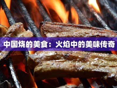 中国烧的美食：火焰中的美味传奇