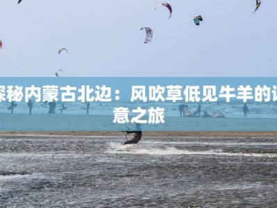 探秘内蒙古北边：风吹草低见牛羊的诗意之旅