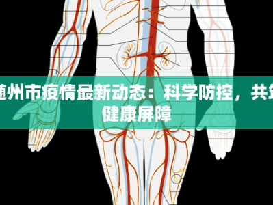 随州市疫情最新动态：科学防控，共筑健康屏障