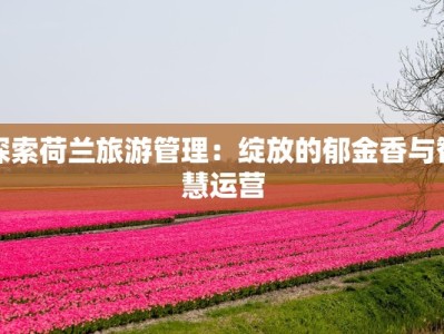 探索荷兰旅游管理：绽放的郁金香与智慧运营