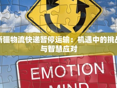 新疆物流快递暂停运输：机遇中的挑战与智慧应对