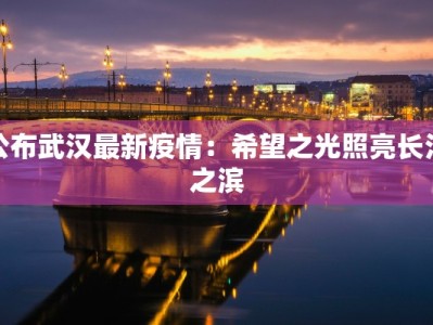 公布武汉最新疫情：希望之光照亮长江之滨