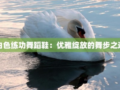 白色练功舞蹈鞋：优雅绽放的舞步之选