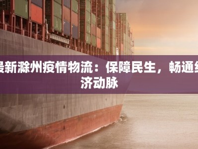 最新滁州疫情物流：保障民生，畅通经济动脉