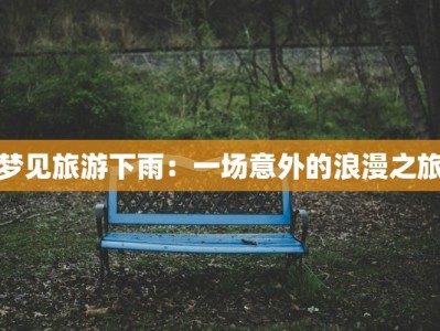 梦见旅游下雨：一场意外的浪漫之旅