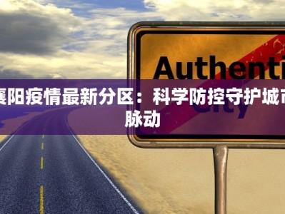 襄阳疫情最新分区：科学防控守护城市脉动