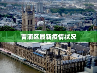 青浦区最新疫情状况