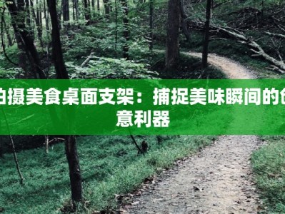 拍摄美食桌面支架：捕捉美味瞬间的创意利器