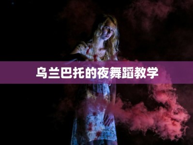 乌兰巴托的夜舞蹈教学