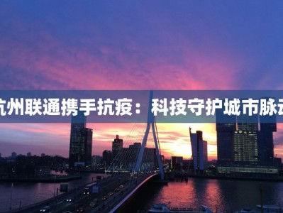 杭州联通携手抗疫：科技守护城市脉动