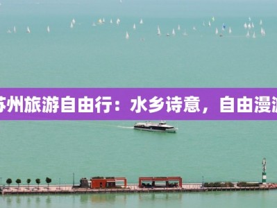 诚迅物流快递单号：您的包裹守护者，安全便捷一触即达