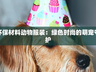环保材料动物服装：绿色时尚的萌宠守护