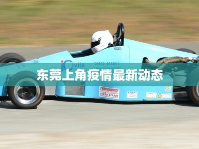 东莞上角疫情最新动态