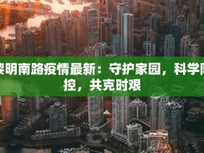 黎明南路疫情最新：守护家园，科学防控，共克时艰