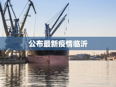 公布最新疫情临沂